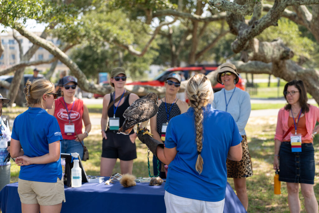 Outdoor Falconry Demonstration Incporporated Into Events For Nonprofits