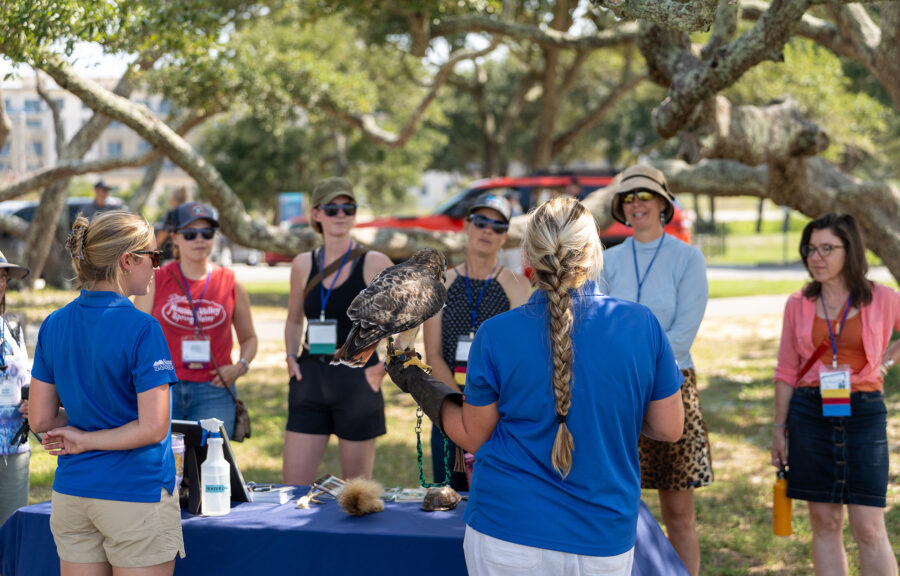 Outdoor Falconry Demonstration Incporporated Into Professional Development Events